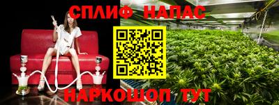 стафф Малоярославец
